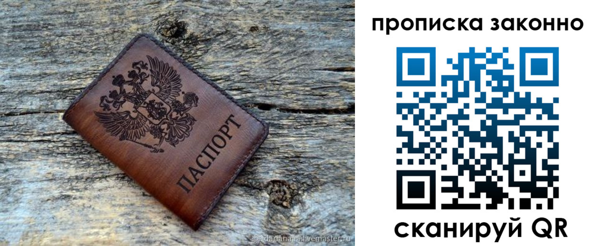 прописка для школы в Полярных Зорях